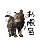 しろねこと愉快な仲間たち（個別スタンプ：25）