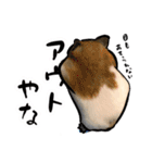しろねこと愉快な仲間たち（個別スタンプ：28）