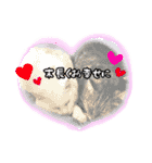 しろねこと愉快な仲間たち（個別スタンプ：32）