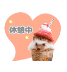 ハリネズミわさび☆（個別スタンプ：1）