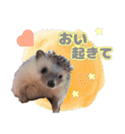 ハリネズミわさび☆（個別スタンプ：3）