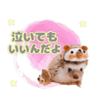 ハリネズミわさび☆（個別スタンプ：4）