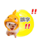 ハリネズミわさび☆（個別スタンプ：5）
