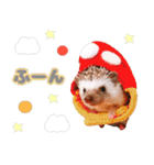ハリネズミわさび☆（個別スタンプ：9）
