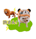 ハリネズミわさび☆（個別スタンプ：10）