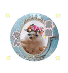 ハリネズミわさび☆（個別スタンプ：12）