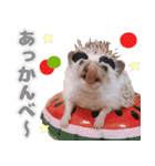 ハリネズミわさび☆（個別スタンプ：15）