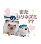 ハリネズミわさび☆（個別スタンプ：16）