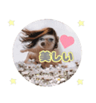 ハリネズミわさび☆（個別スタンプ：17）
