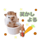 ハリネズミわさび☆（個別スタンプ：18）