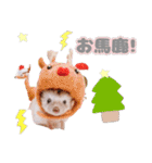 ハリネズミわさび☆（個別スタンプ：19）