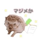 ハリネズミわさび☆（個別スタンプ：20）