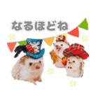 ハリネズミわさび☆（個別スタンプ：22）