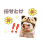 ハリネズミわさび☆（個別スタンプ：25）