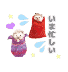 ハリネズミわさび☆（個別スタンプ：26）