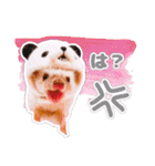 ハリネズミわさび☆（個別スタンプ：31）
