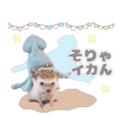 ハリネズミわさび☆（個別スタンプ：34）