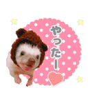ハリネズミわさび☆（個別スタンプ：38）