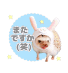 ハリネズミわさび☆（個別スタンプ：39）