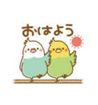 動く♥かわいいオカメインコ（個別スタンプ：3）