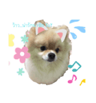 かわいい犬.1（個別スタンプ：1）