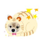 かわいい犬.1（個別スタンプ：4）