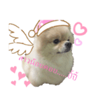 かわいい犬.1（個別スタンプ：5）
