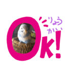 そらピー（個別スタンプ：7）