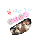 まほちゃんぽんちゃんスタンプ（個別スタンプ：8）