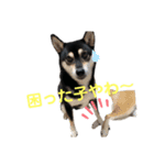 ヒナタさまとその家族〜教育ママ⁉️〜（個別スタンプ：1）