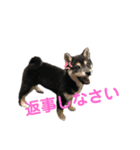 ヒナタさまとその家族〜教育ママ⁉️〜（個別スタンプ：2）
