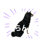 ヒナタさまとその家族〜教育ママ⁉️〜（個別スタンプ：5）
