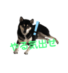 ヒナタさまとその家族〜教育ママ⁉️〜（個別スタンプ：7）