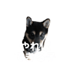 ヒナタさまとその家族〜教育ママ⁉️〜（個別スタンプ：8）