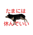 ヒナタさまとその家族〜教育ママ⁉️〜（個別スタンプ：9）