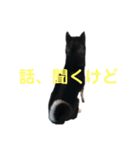 ヒナタさまとその家族〜教育ママ⁉️〜（個別スタンプ：10）