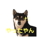 ヒナタさまとその家族〜教育ママ⁉️〜（個別スタンプ：16）
