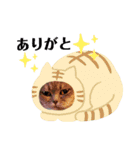 もんとぼくのスタンプ（個別スタンプ：8）