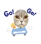 もんとぼくのスタンプ（個別スタンプ：16）