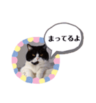 もんとぼくのスタンプ（個別スタンプ：21）