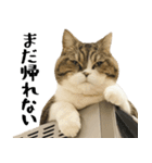 猫の『まめすけ』 日常編（個別スタンプ：8）