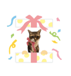 りんちゃんのスタンプDX（個別スタンプ：14）