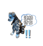 仔犬のカール！（個別スタンプ：1）
