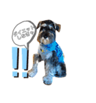 仔犬のカール！（個別スタンプ：5）