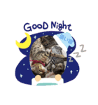 ベンガルレンジャーズのスタンプ③（個別スタンプ：3）