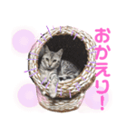 ベンガルレンジャーズのスタンプ③（個別スタンプ：7）