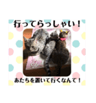 ベンガルレンジャーズのスタンプ③（個別スタンプ：8）