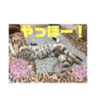 ベンガルレンジャーズのスタンプ③（個別スタンプ：10）
