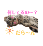 ベンガルレンジャーズのスタンプ③（個別スタンプ：14）