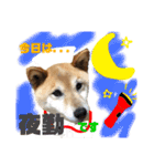 柴犬 おはぎ  vol.2（個別スタンプ：21）